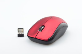 Mouse